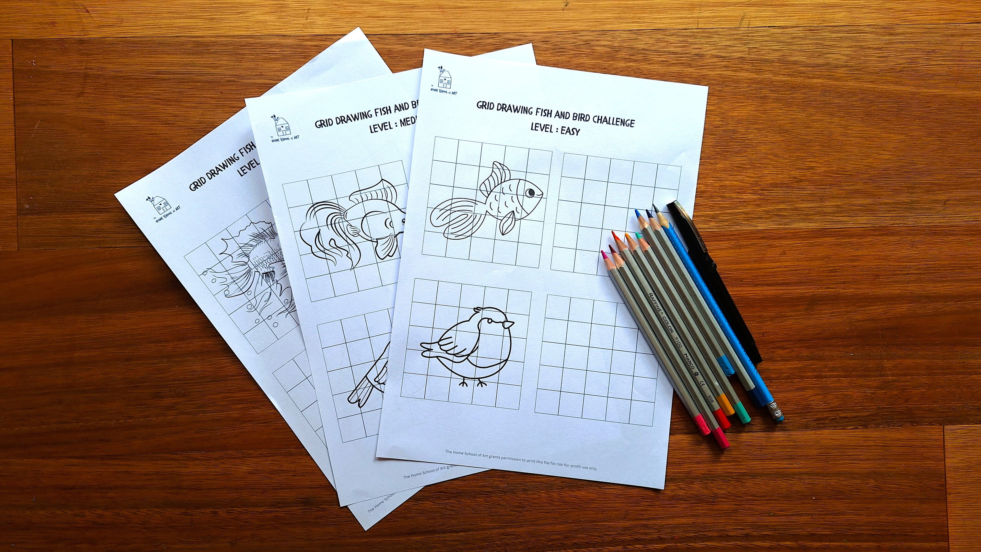 Drawing challenge: Grid Drawing