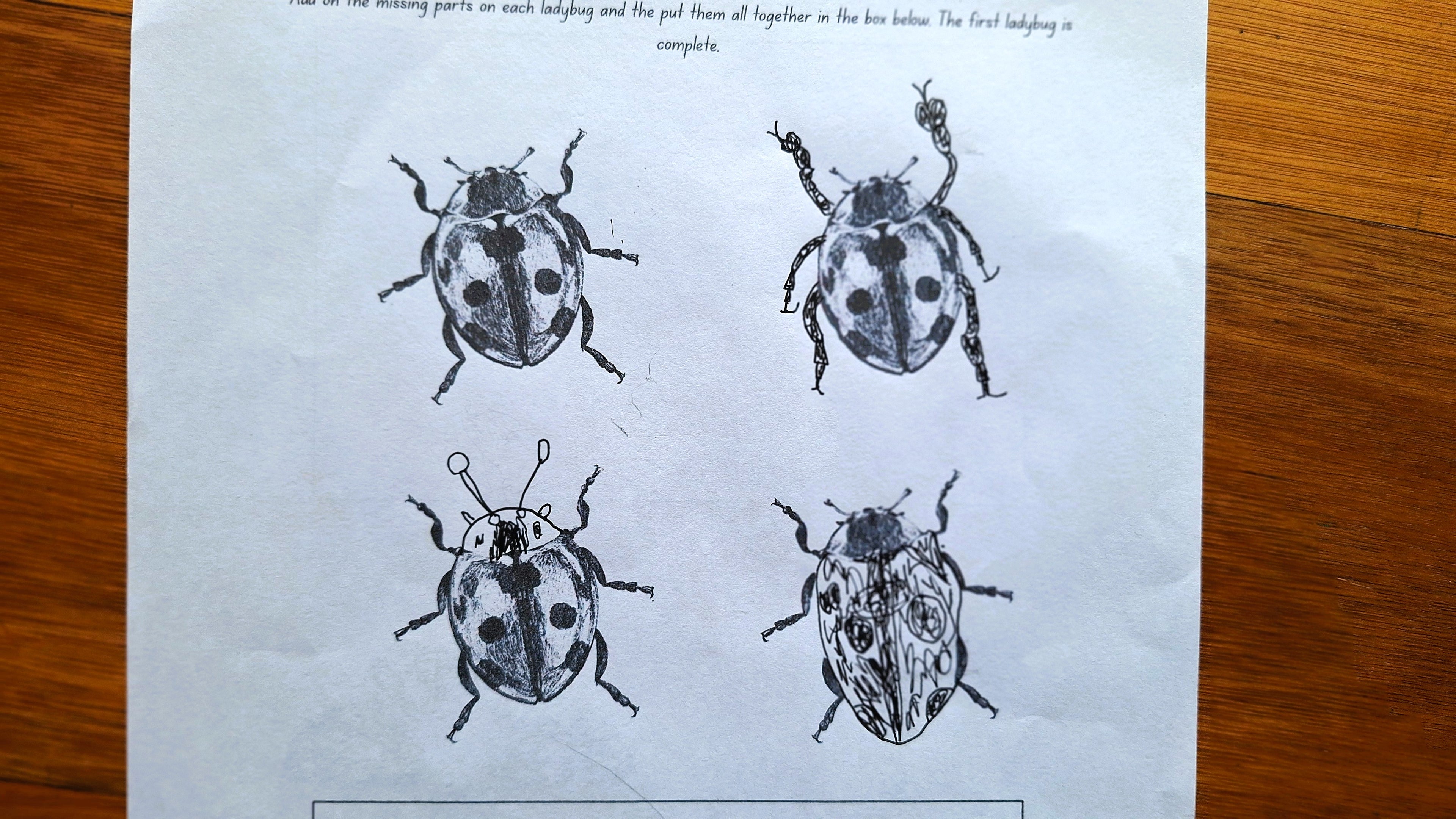 Drawing Challenge: Small Creatures