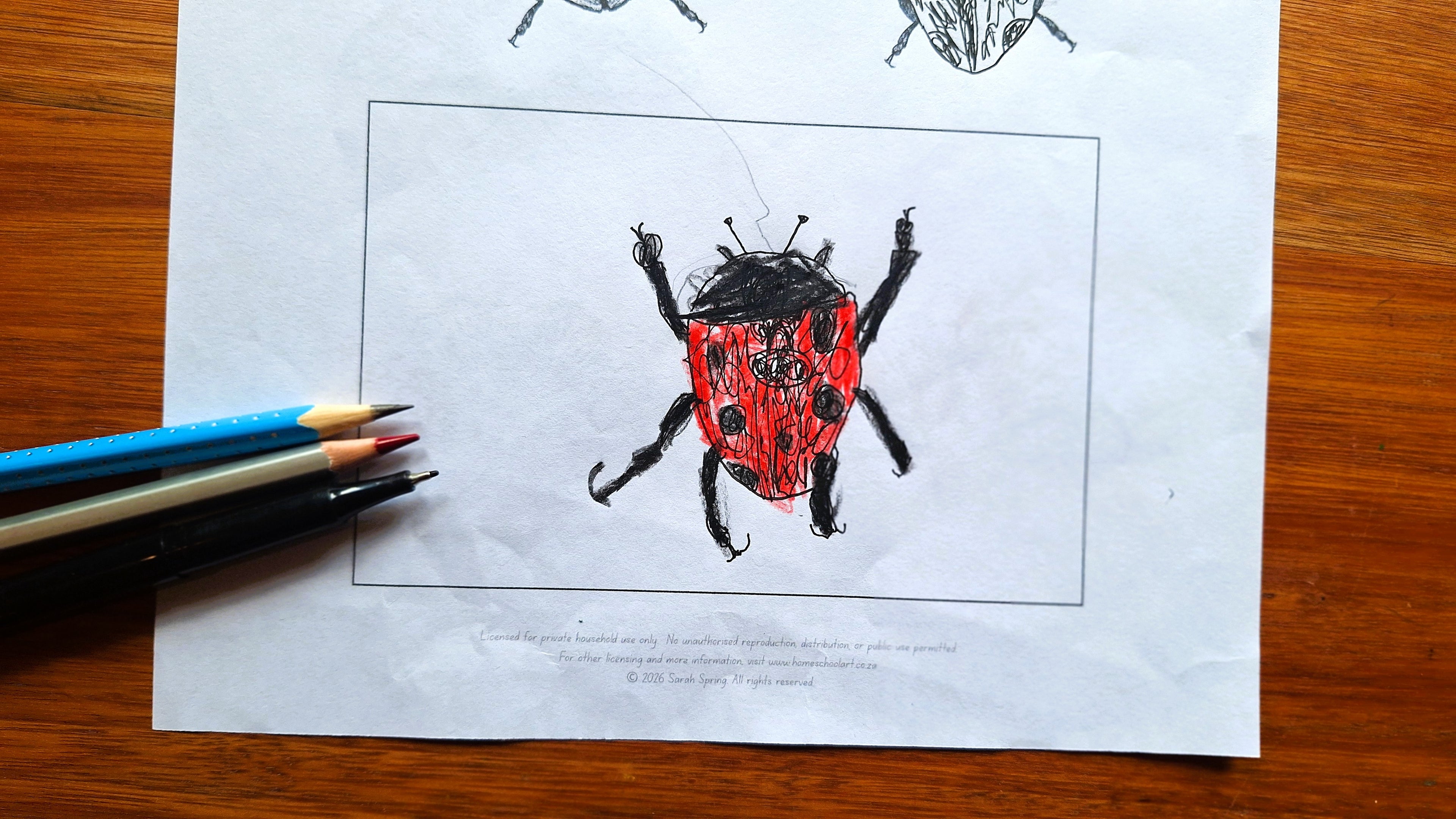 Drawing Challenge: Small Creatures