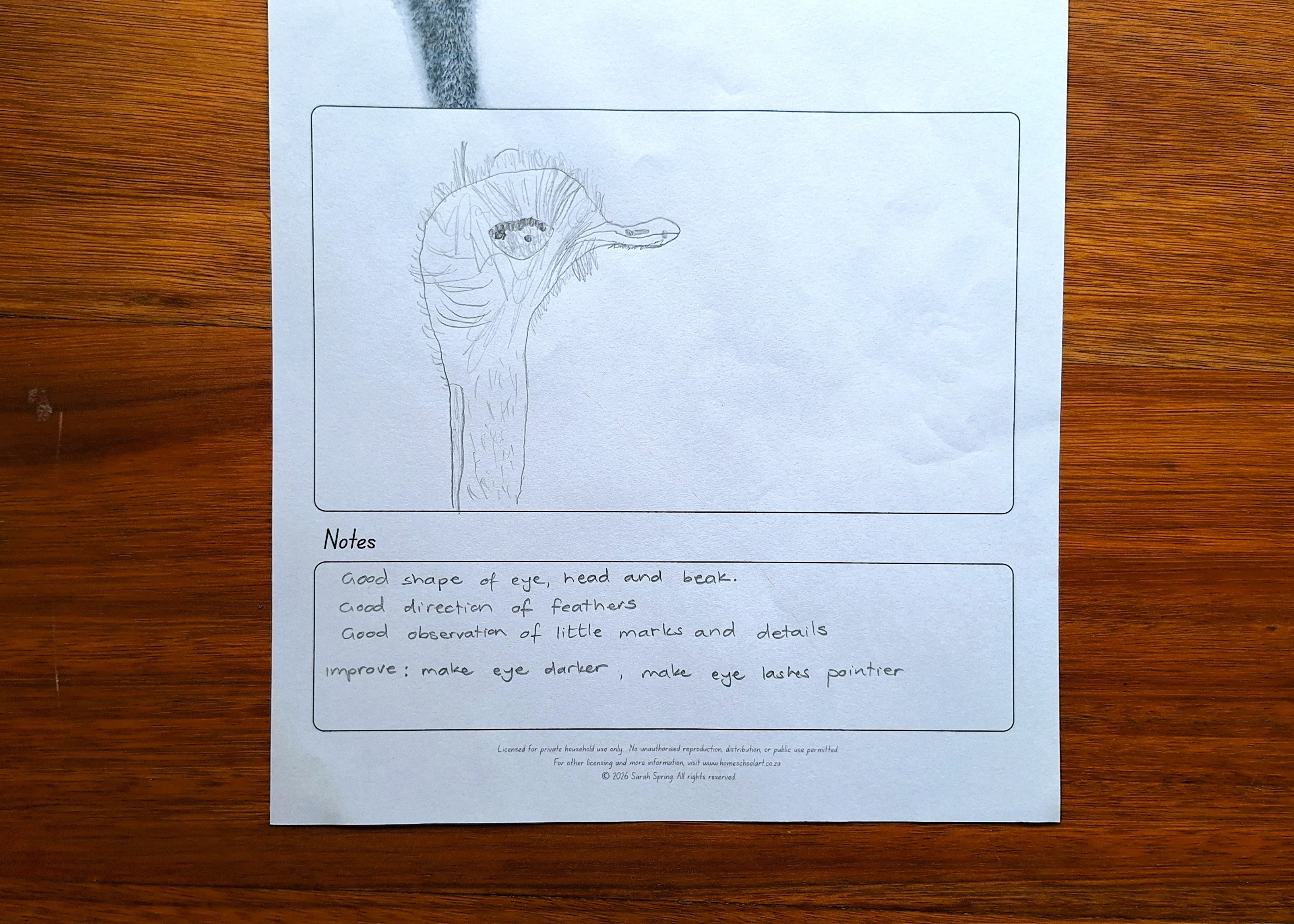 Observation Exercise (Bundle)