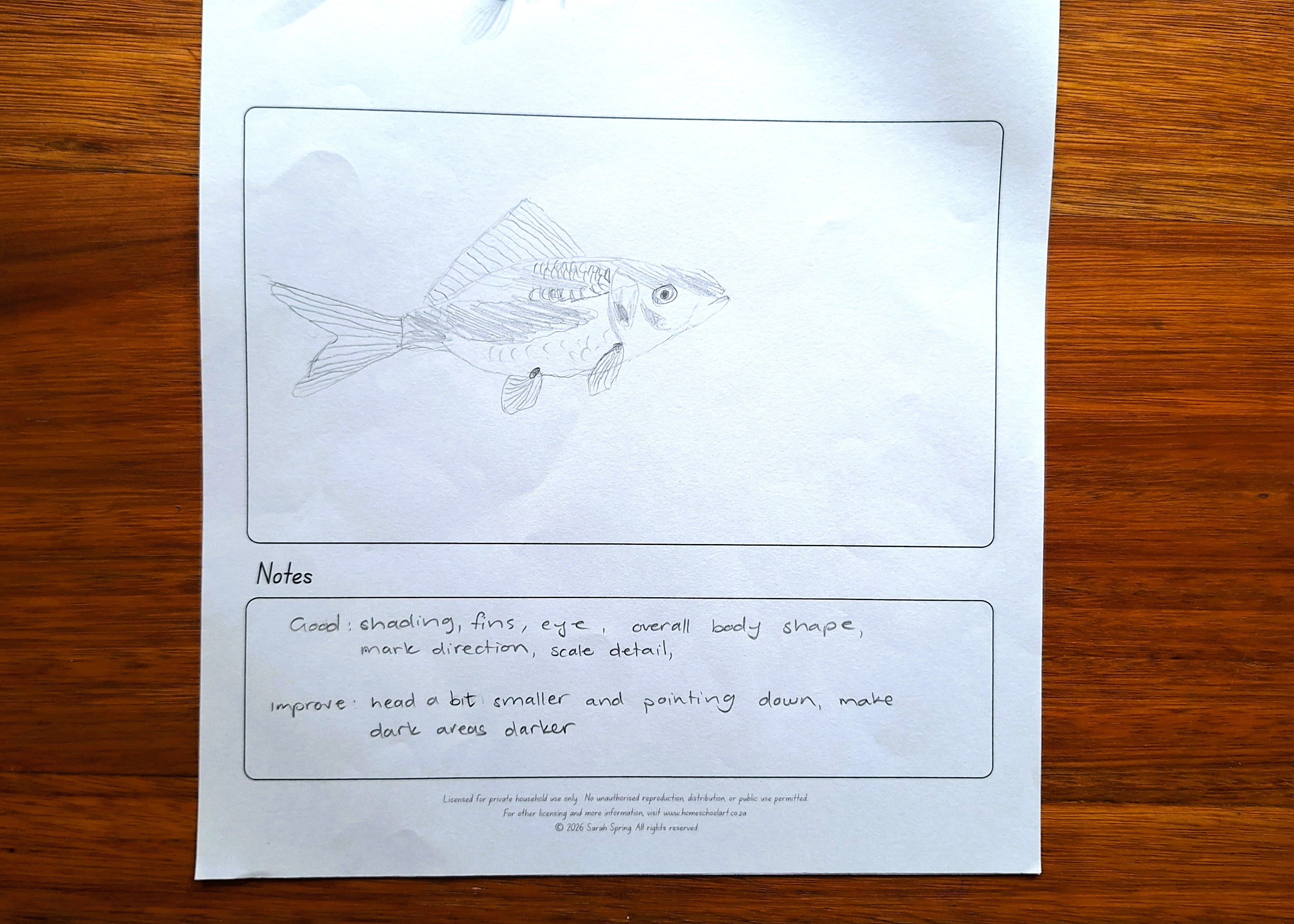 Observation Exercise (Bundle)