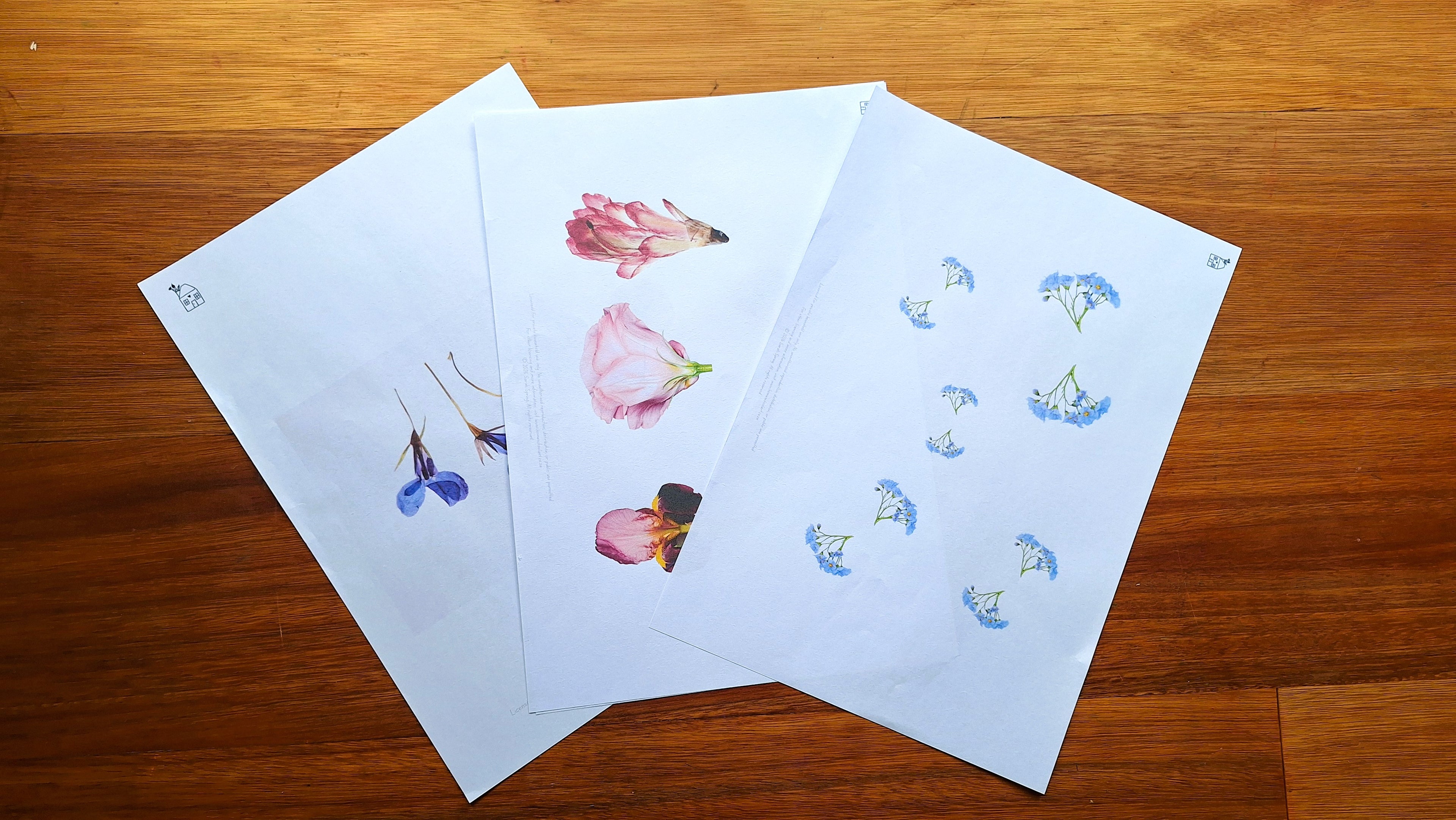 Finish the Drawing: Flowers