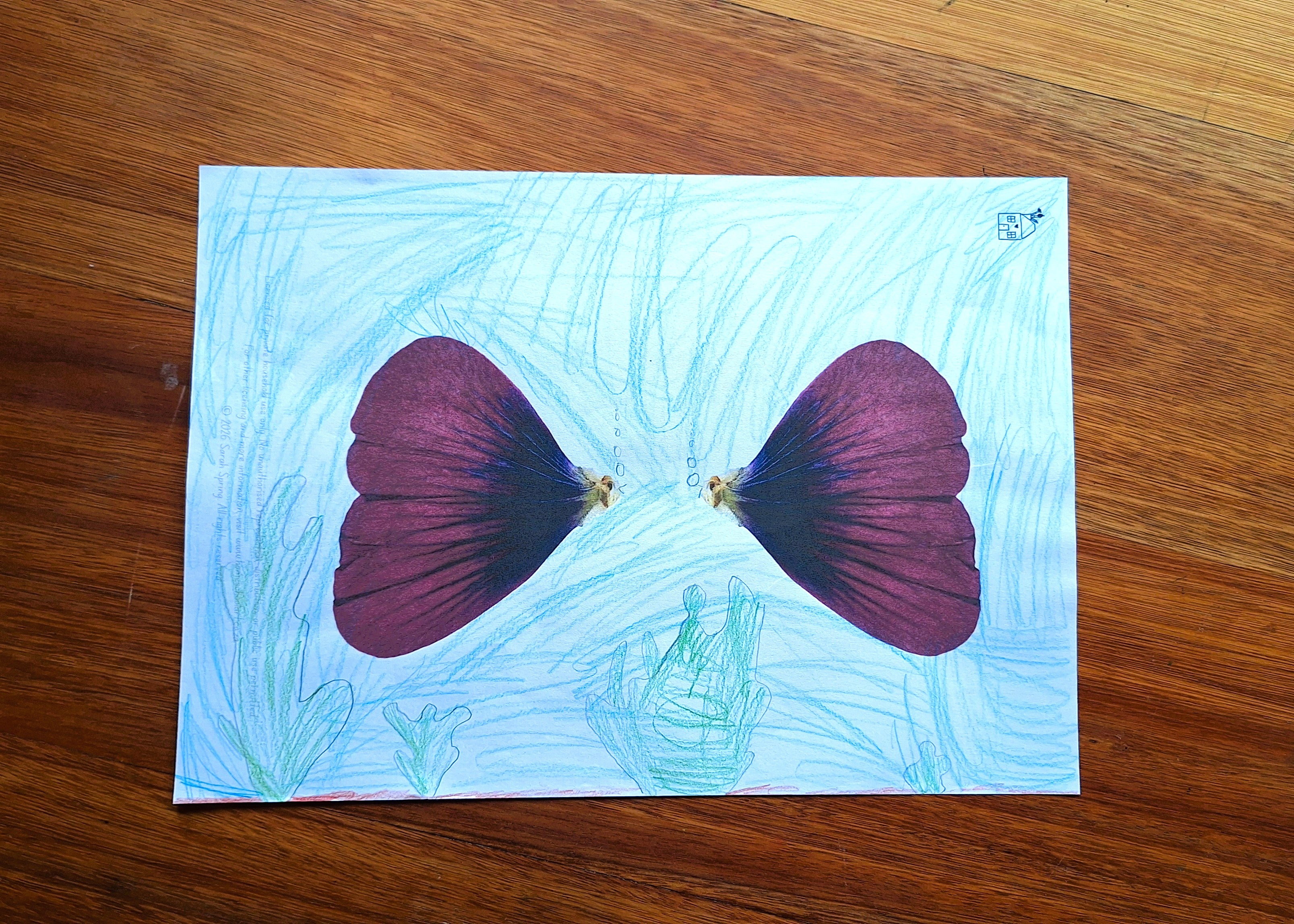 Finish the Drawing: Flowers