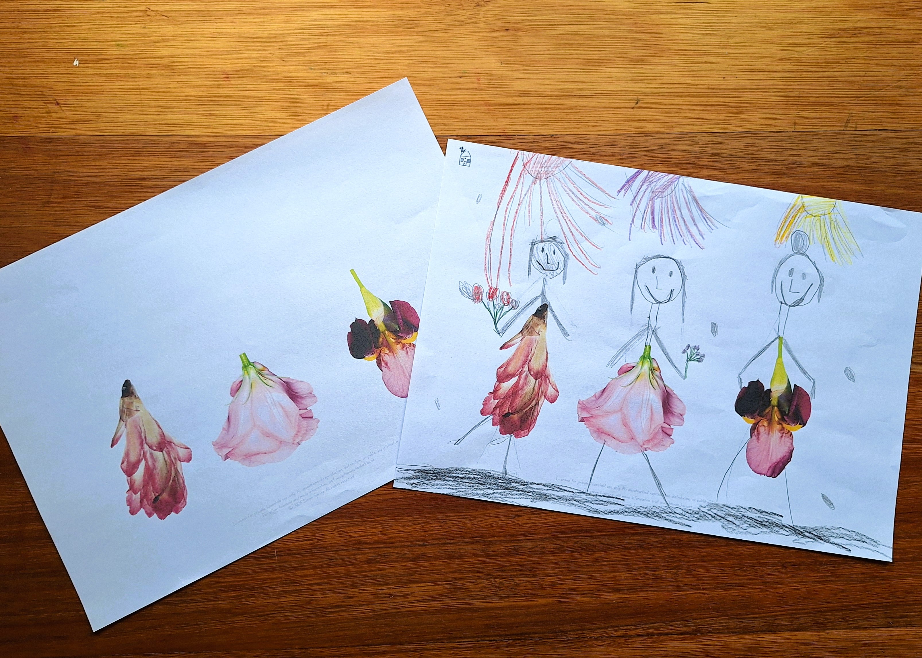 Finish the Drawing: Flowers