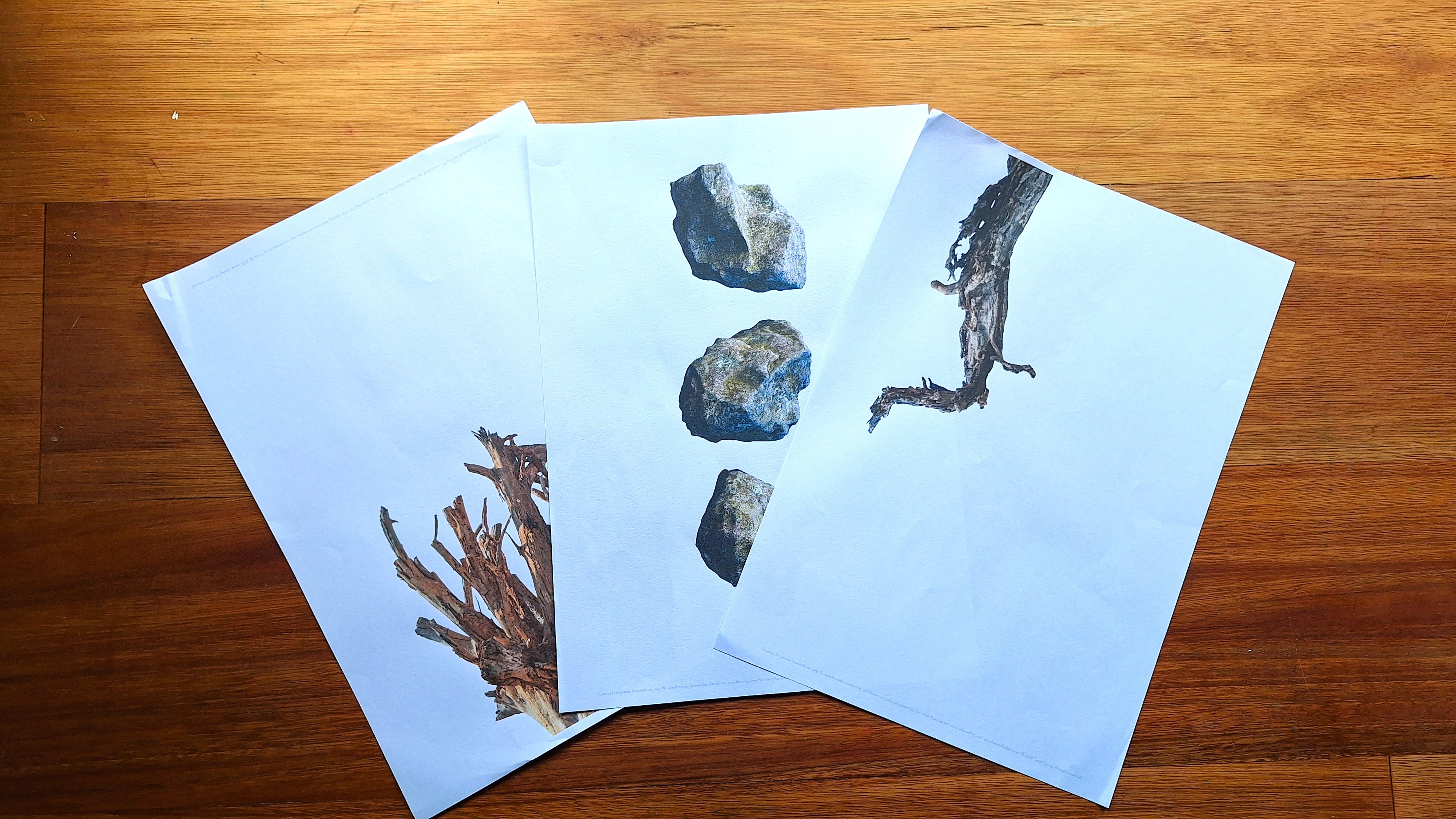 Finish the Drawing: Rocks and Sticks