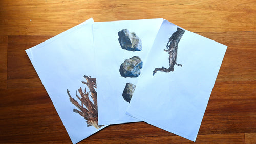 Finish the Drawing: Rocks and Sticks