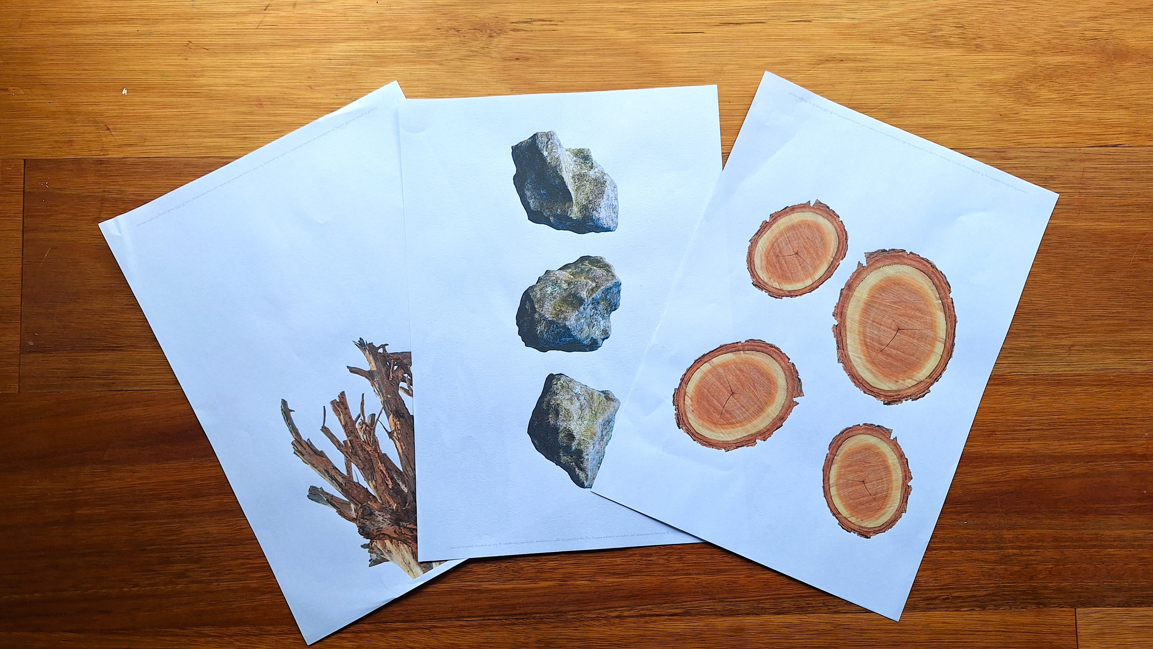 Finish the Drawing: Rocks and Sticks