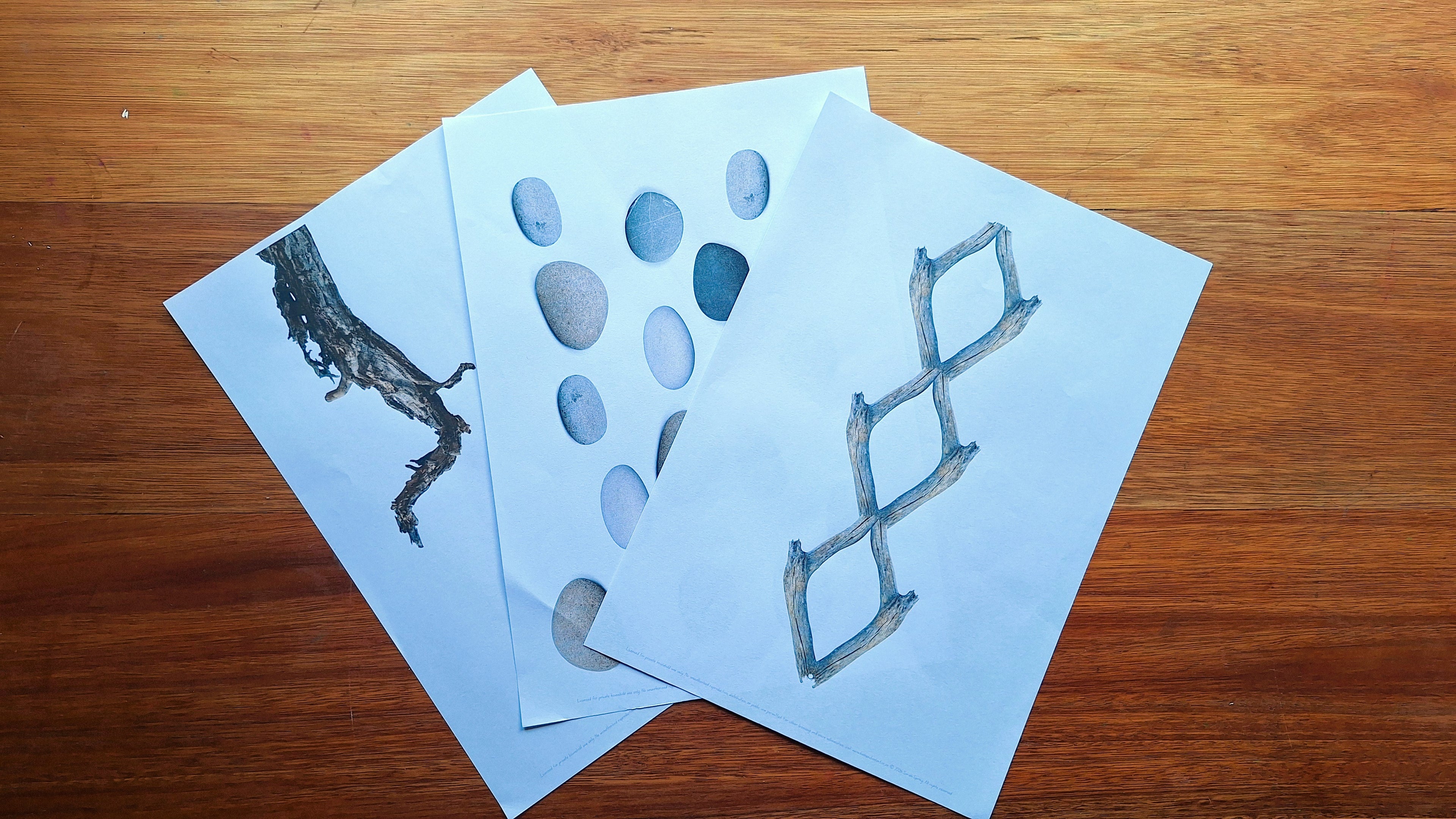 Finish the Drawing: Rocks and Sticks