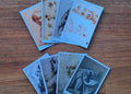 Picture Study: Leonardo Da Vinci