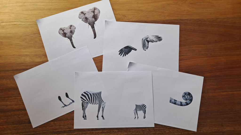 Holiday Printables Bundle