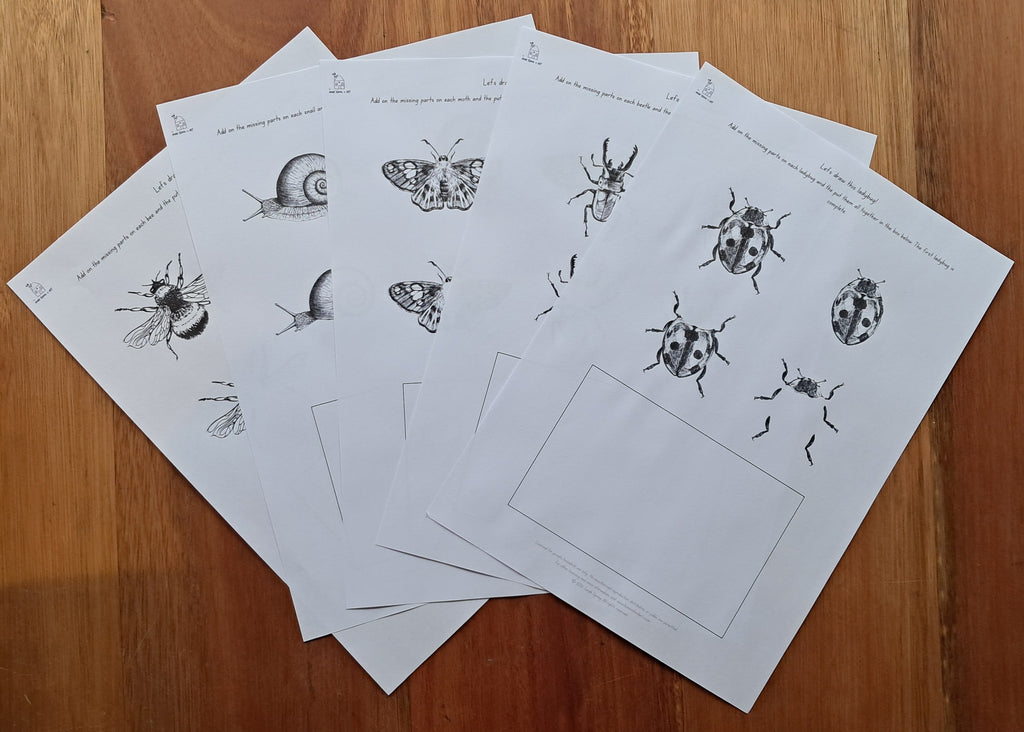 Drawing Challenge: Small Creatures